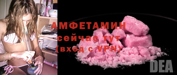 прущие грибы Барнаул
