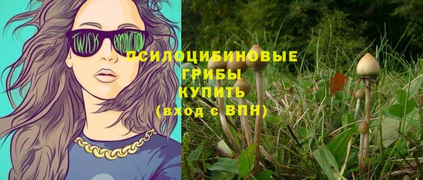 мдпв Тольятти