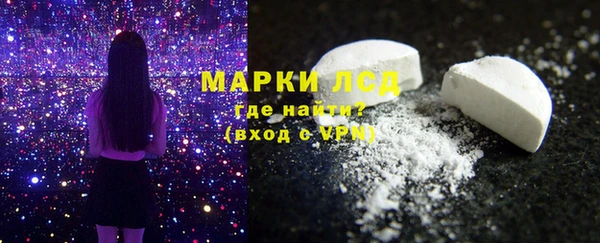 прущие грибы Барнаул