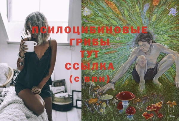 прущие грибы Барнаул
