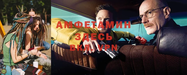 прущие грибы Барнаул