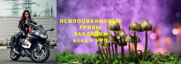 а пвп мука Ижевск