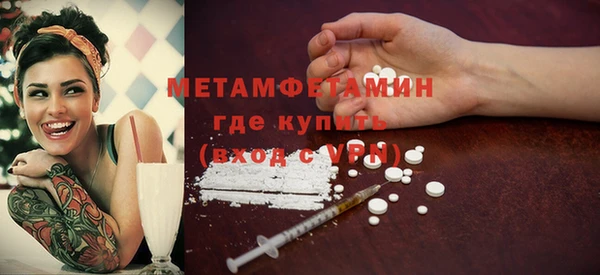 прущие грибы Барнаул